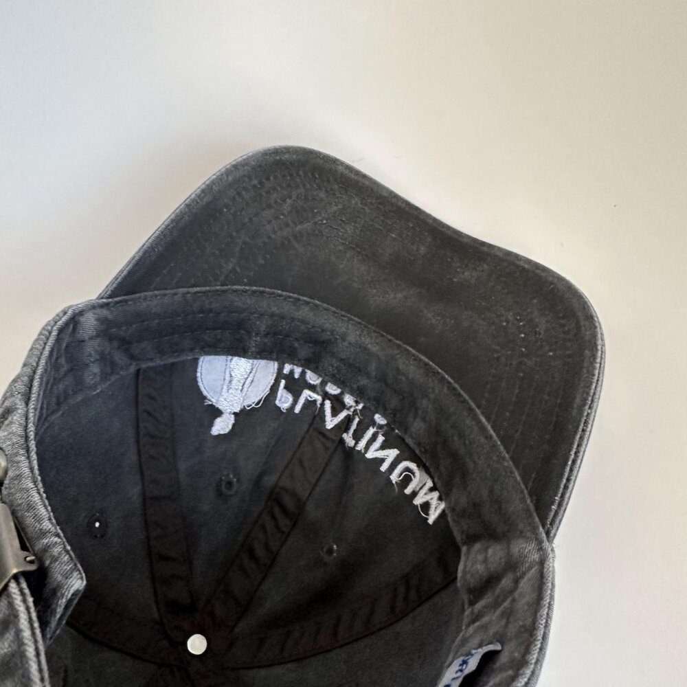 Platinum Models Port Authority Dad Hat Adjustable Strap Back Cap Gray Embroidery - Picture 8 of 9